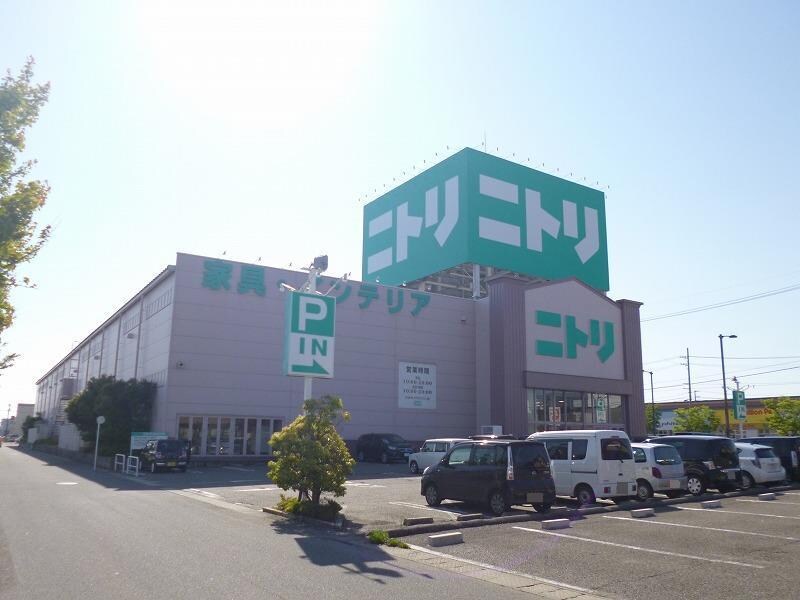 ニトリ新潟小新店(電気量販店/ホームセンター)まで243m アースリースター