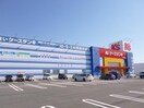 ケーズデンキ亀貝店(電気量販店/ホームセンター)まで277m アースリースター