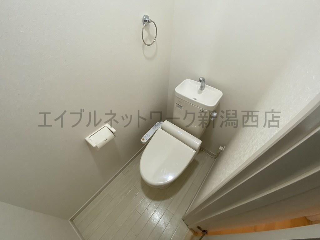  ロサ　ブランカ