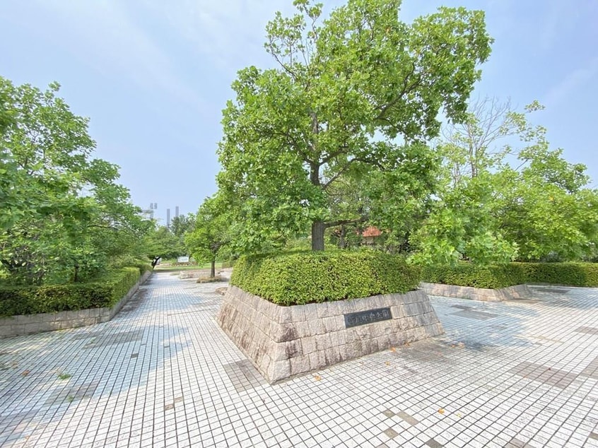 寺尾中央公園(公園)まで284m ロサ　ブランカ