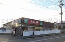 なか卯新潟小針台店(ファストフード)まで170m プロムナード小針