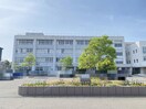 新潟市立小針小学校(小学校)まで573m Birdy town(バーディータウン)