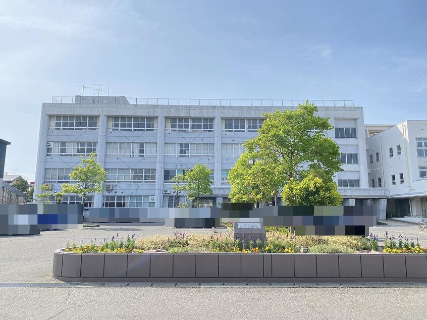 新潟市立小針小学校(小学校)まで573m Birdy town(バーディータウン)