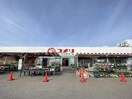 コメリハード＆グリーン小針店(電気量販店/ホームセンター)まで411m Birdy town(バーディータウン)