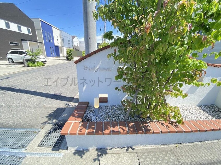  Birdy town(バーディータウン)