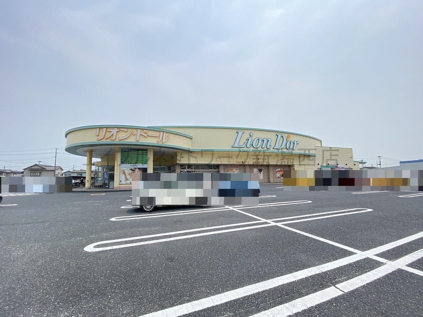 リオン・ドール寺尾店(スーパー)まで631m ソレーラ小針南台