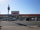 清水フードセンター青山店(スーパー)まで1183m 真砂ハイツ
