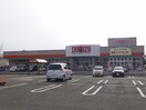 清水フードセンター坂井店(スーパー)まで457m アパートメント・ラフィーネ