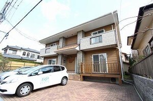 グレースミモザ