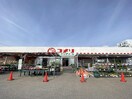 コメリハード＆グリーン小針店(電気量販店/ホームセンター)まで624m アビタシオン
