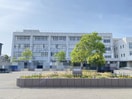 新潟市立小針小学校(小学校)まで631m グランビル小針