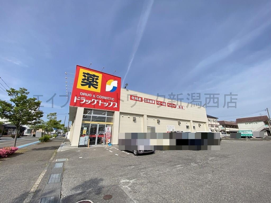 ドラッグ・トップス小針店(ドラッグストア)まで663m グランビル小針