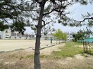 新潟市立黒埼中学校(中学校/中等教育学校)まで769m サンヒルズ