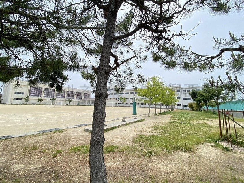 新潟市立黒埼中学校(中学校/中等教育学校)まで769m サンヒルズ