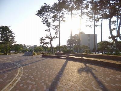国立新潟大学(大学/短大/専門学校)まで2127m レジデンス・ナカジマ