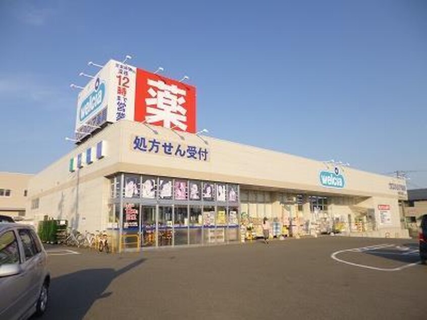 ウエルシア新潟大学前店(ドラッグストア)まで302m グリーンハウスII