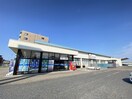 カワチ薬品青山店(ドラッグストア)まで1220m ロイヤルハウス