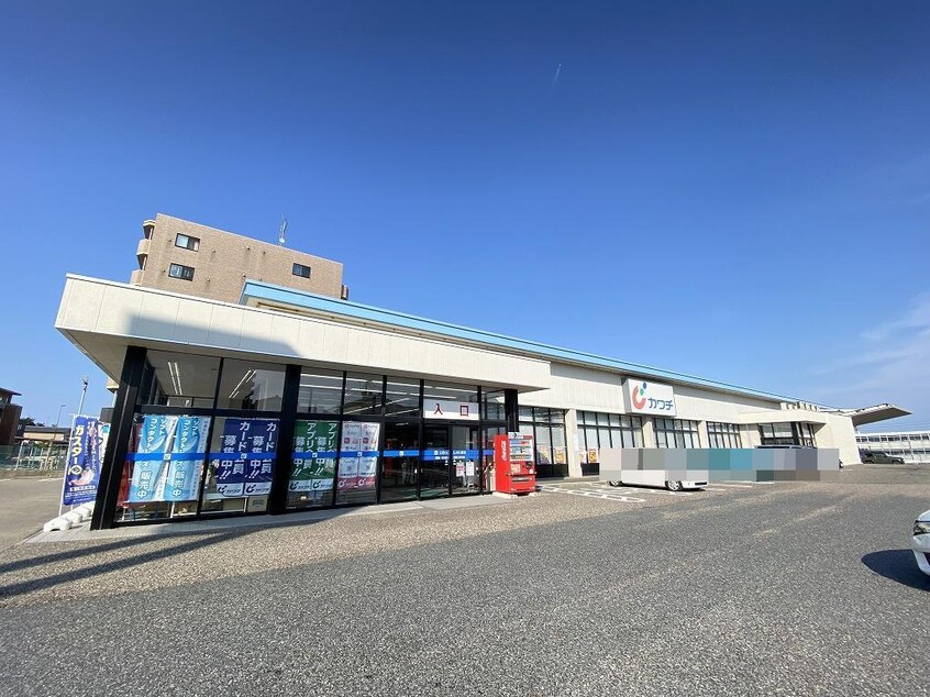 カワチ薬品青山店(ドラッグストア)まで1220m ロイヤルハウス