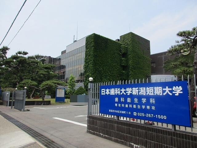 私立日本歯科大学新潟短期大学(大学/短大/専門学校)まで1334m ロイヤルハウス