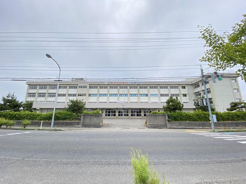 新潟市立小新中学校(中学校/中等教育学校)まで1715m T＆K寺尾前通