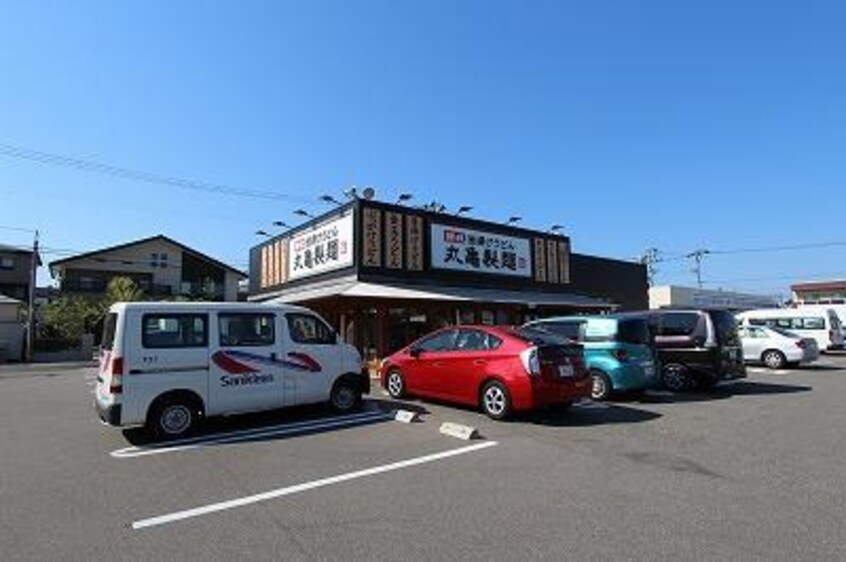 丸亀製麺新潟小針店(その他飲食（ファミレスなど）)まで307m Ｔ＆Ｋこばり