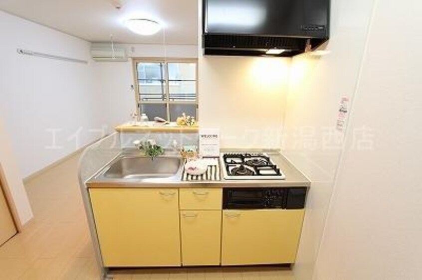  セジュールシャイン