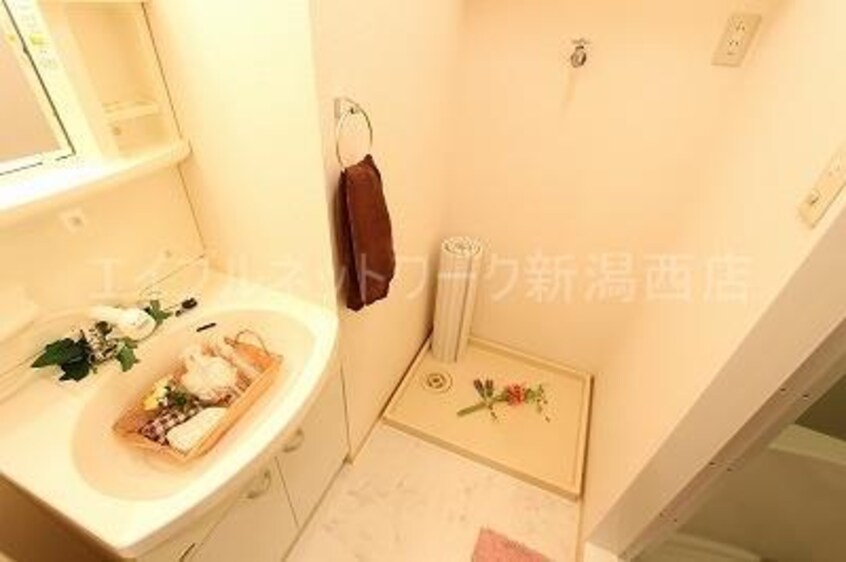  セジュールシャイン