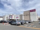 イオン新潟青山店(スーパー)まで525m セジュールシャイン