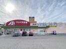 クスリのアオキ青山店(ドラッグストア)まで725m セジュールシャイン
