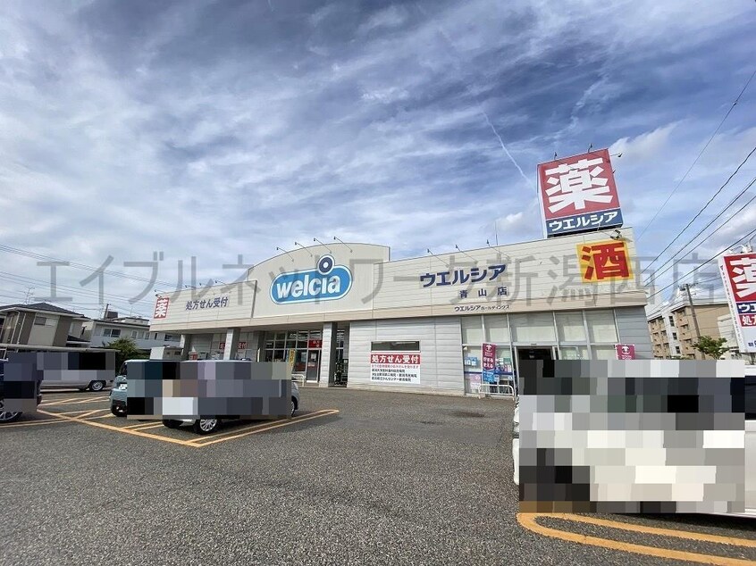 ウエルシア青山店(ドラッグストア)まで767m セジュールシャイン