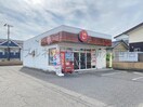 ほっともっと新潟平島店(その他飲食（ファミレスなど）)まで244m セジュールシャイン