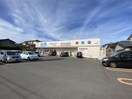 ウエルシア新潟寺尾店(ドラッグストア)まで1029m ウィズリーガーデン