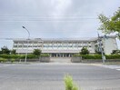 新潟市立小新中学校(中学校/中等教育学校)まで1671m グランフォーレ寺尾