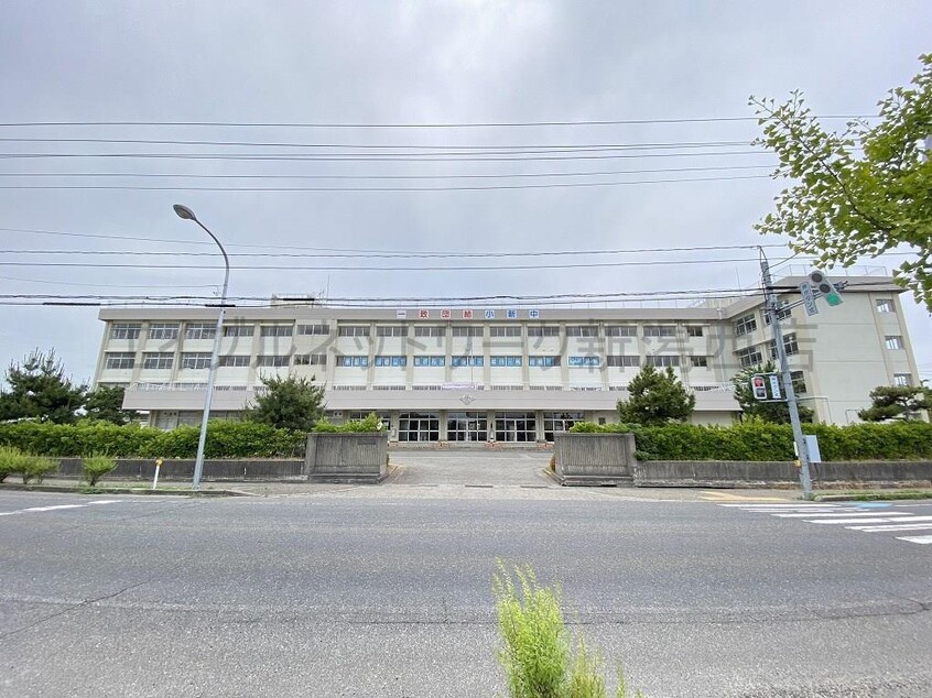 新潟市立小新中学校(中学校/中等教育学校)まで1671m グランフォーレ寺尾