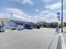 ローソン新潟坂井東二丁目店(コンビニ)まで185m グランフォーレ寺尾