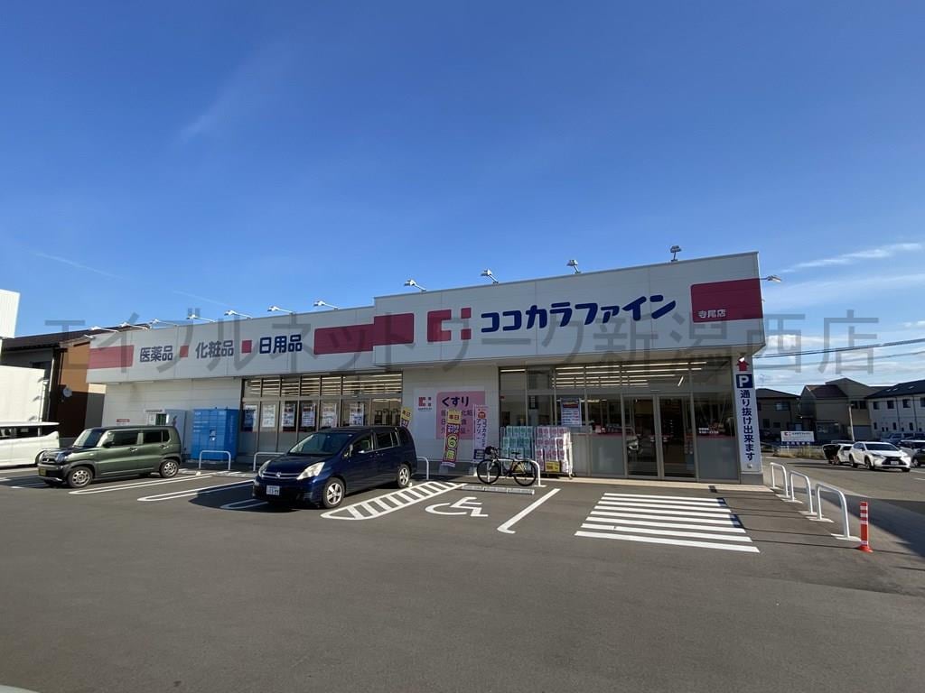 ココカラファイン寺尾店(ドラッグストア)まで819m グランフォーレ寺尾