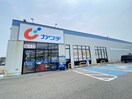 カワチ薬品寺尾店(ドラッグストア)まで676m グランディールこばり