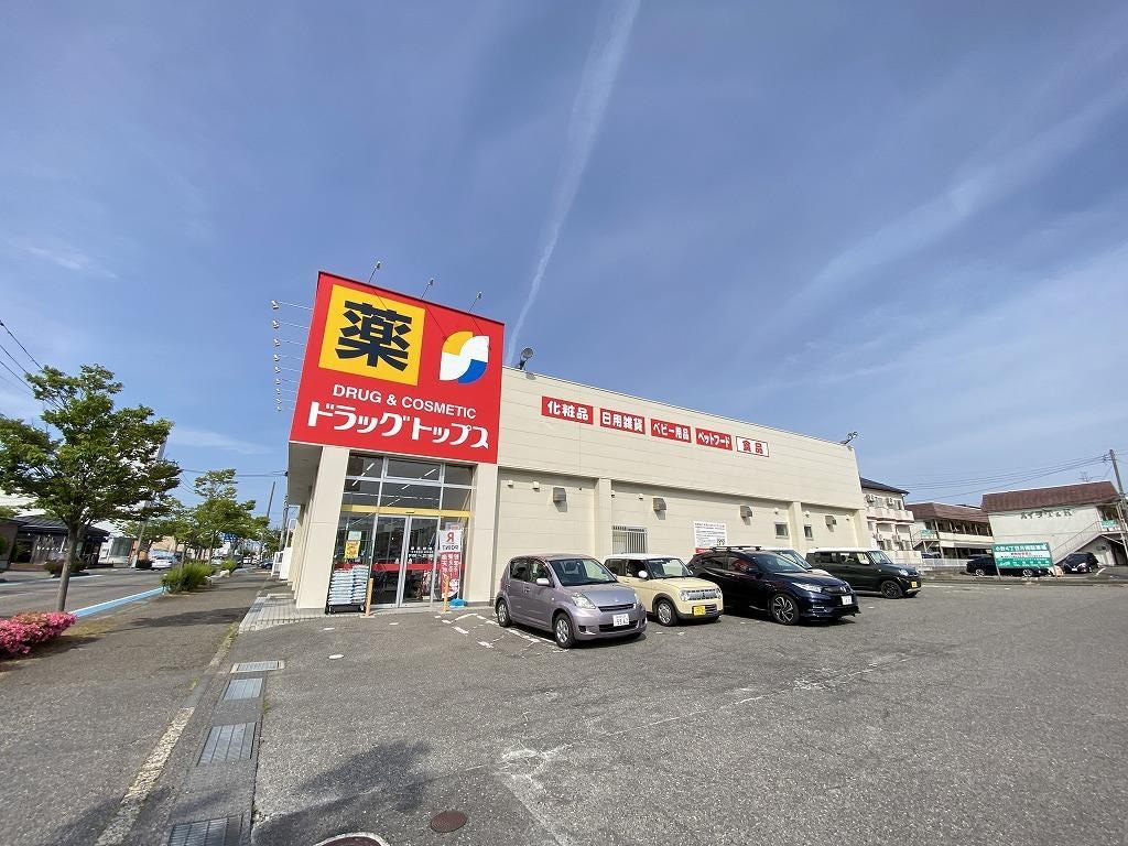 ドラッグ・トップス小針店(ドラッグストア)まで883m グランディールこばり