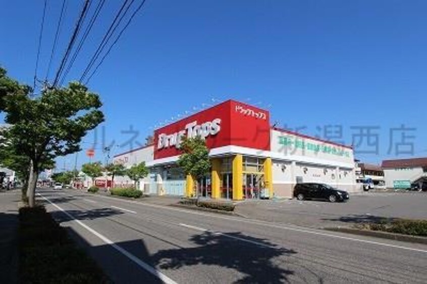 ドラッグ・トップス小針店(ドラッグストア)まで883m グランディールこばり