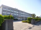 新潟市立小新中学校(中学校/中等教育学校)まで1648m サンパティーク