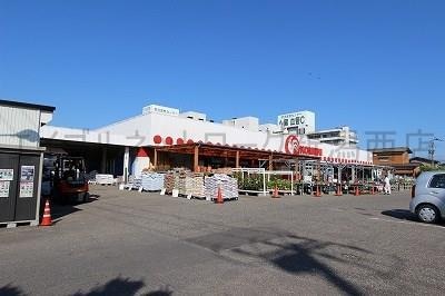 コメリハード＆グリーン小針店(電気量販店/ホームセンター)まで782m ベルハウス