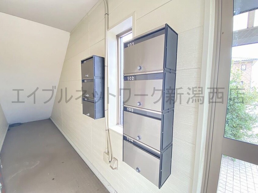  ココモ小新南