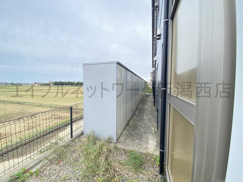  ココモ小新南