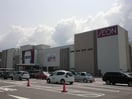 イオン新潟青山店(スーパー)まで1291m メゾン青山台