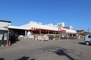 コメリハード＆グリーン小針店(電気量販店/ホームセンター)まで1563m メゾン青山台