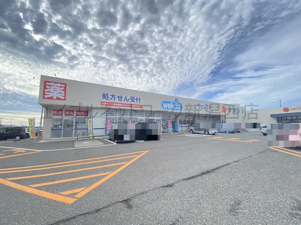 ウエルシア新潟亀貝店(ドラッグストア)まで700m ｋｏｋｏｍｏ　ｉ