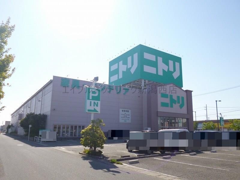 ニトリ新潟小新店(電気量販店/ホームセンター)まで281m ｋｏｋｏｍｏ　ｉ