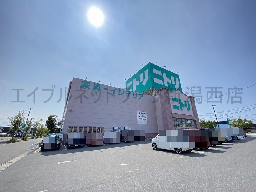 ニトリ新潟小新店(電気量販店/ホームセンター)まで281m ｋｏｋｏｍｏ　ｉ