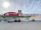 クスリのアオキ青山店(ドラッグストア)まで501m Ｕ・Ｉ平島