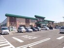 蔦屋書店新通店(ビデオ/DVD)まで761m グリーンベールＭＡＥＤＡ